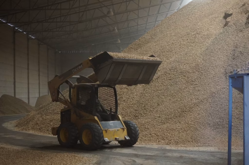 Cargador frontal moviendo cacahuate en cáscara dentro de la bodega