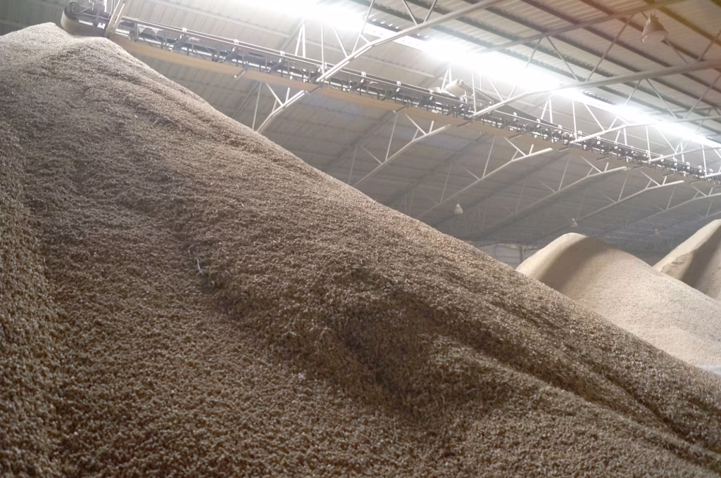 Vista panorámica de la bodega de cacahuate en Delicias, Chihuahua