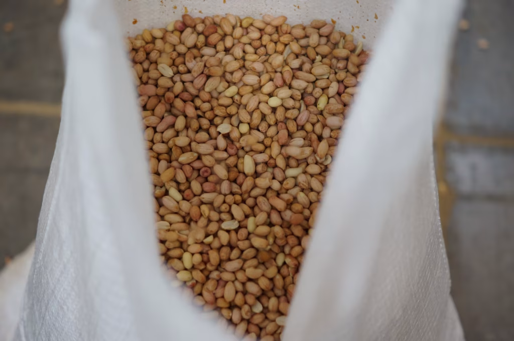 Cacahuate descascarado y seleccionado dentro de un saco